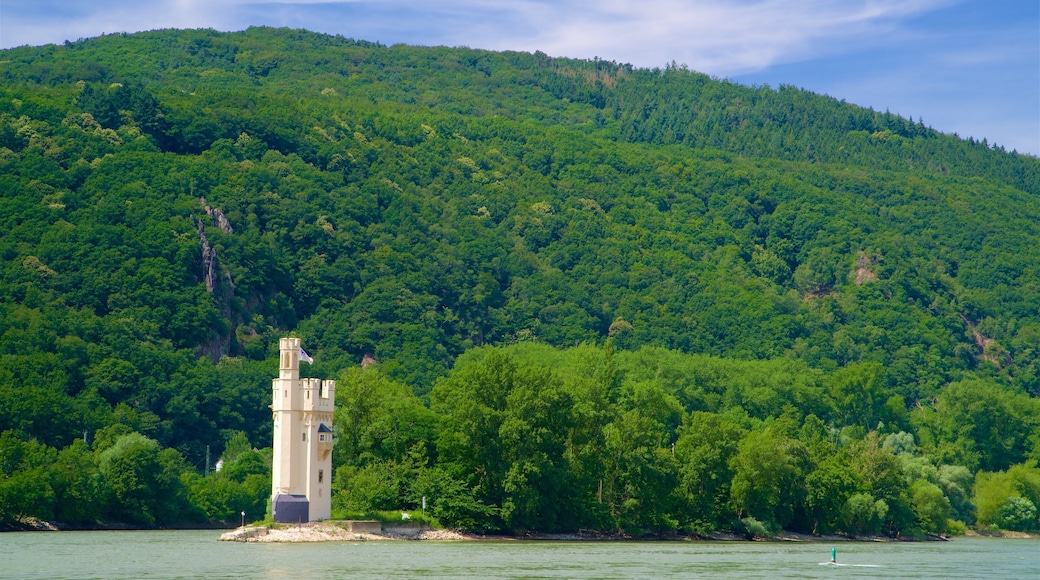 Mäuseturm featuring a river or creek, heritage elements and tranquil scenes