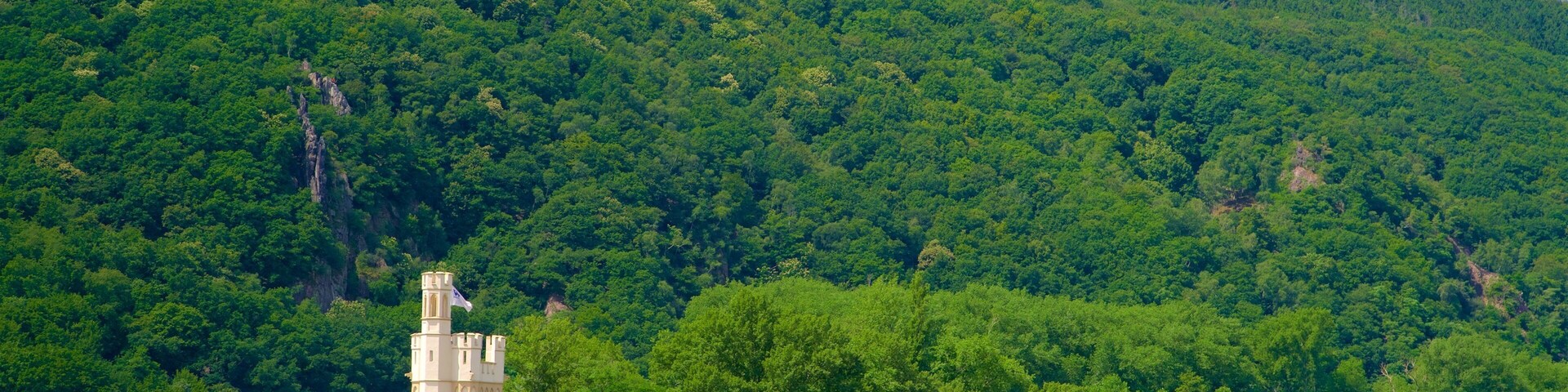 Mäuseturm featuring a river or creek, heritage elements and tranquil scenes