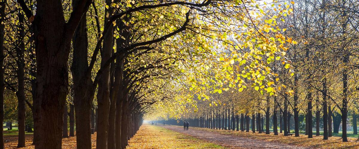 KFH16C The almost two-kilometer Herrenhausallee in Hannover, Germany, was built in 1726 as a link between the city and the castle