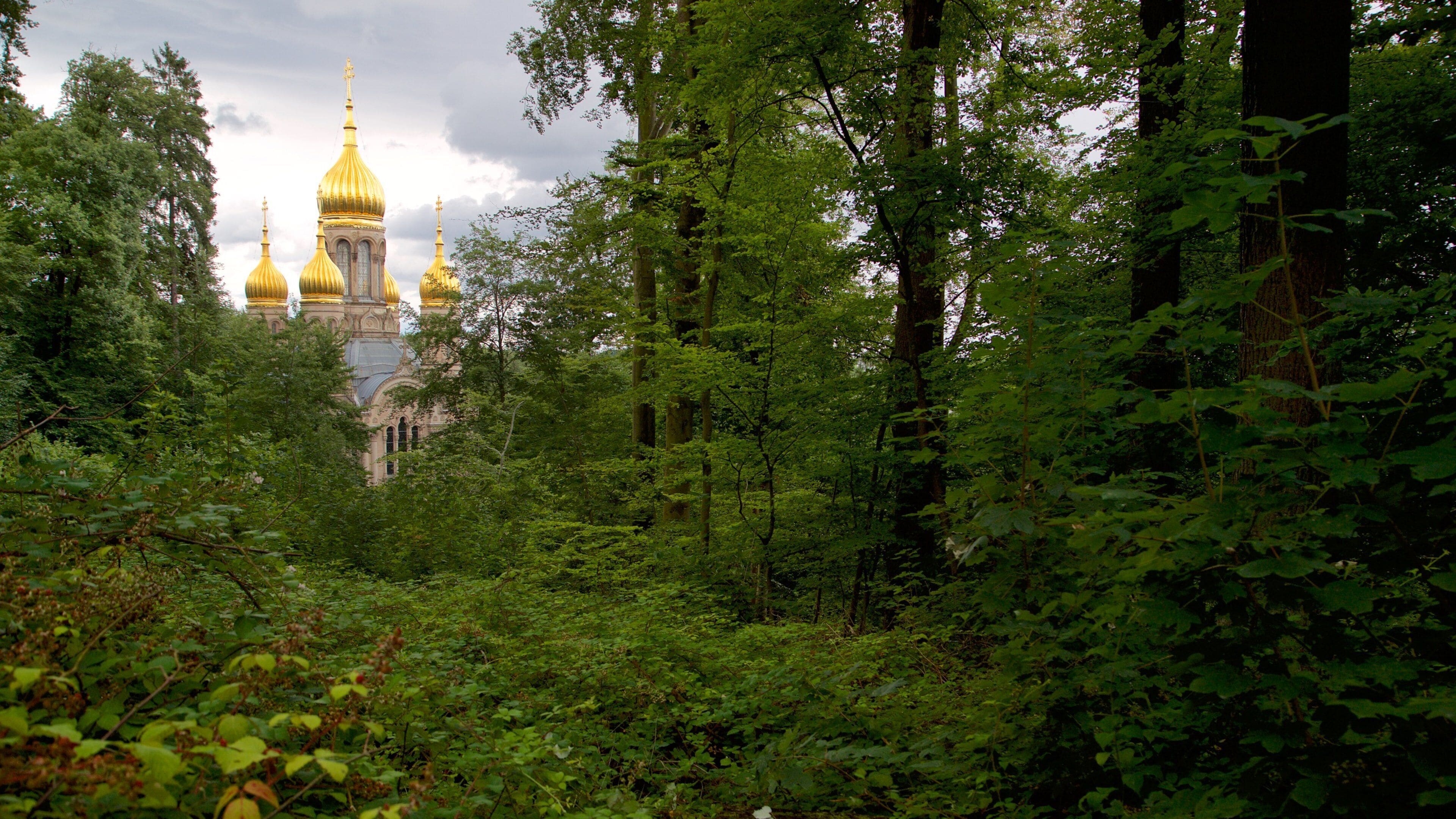 Russian Orthodox Church ofreciendo imágenes de bosques, una iglesia o catedral y arquitectura patrimonial