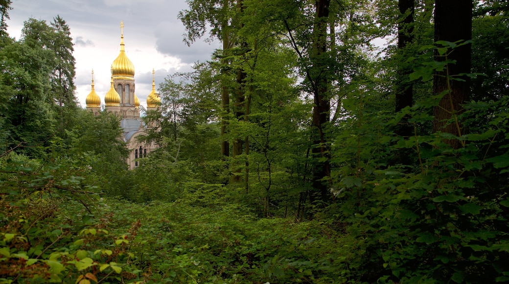 Russian Orthodox Church caratteristiche di paesaggio forestale, chiesa o cattedrale e architettura d\'epoca