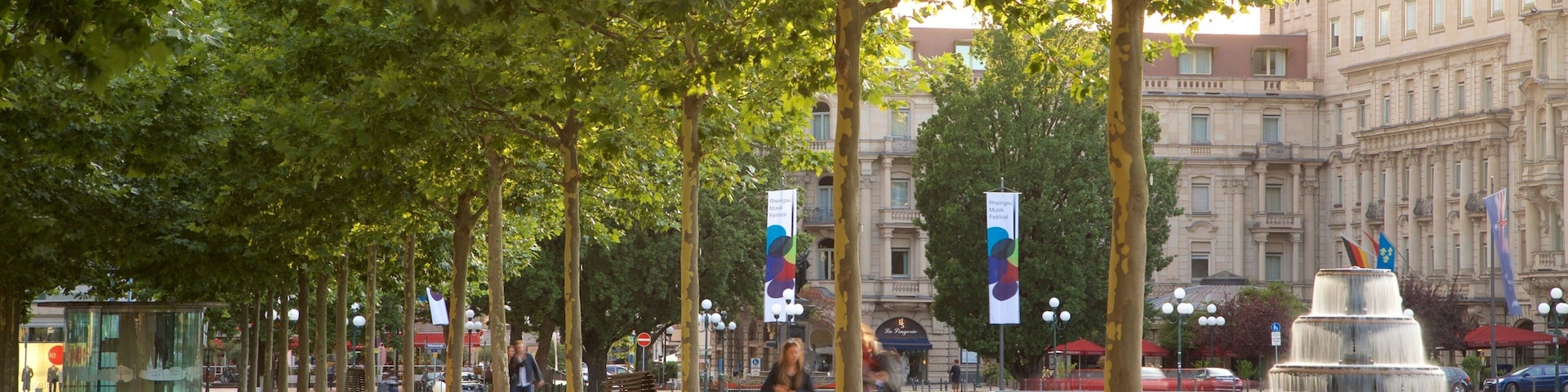 Bowling Green que inclui um parque