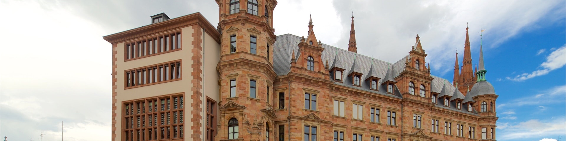 Neues Rathaus mostrando arquitetura de patrimônio