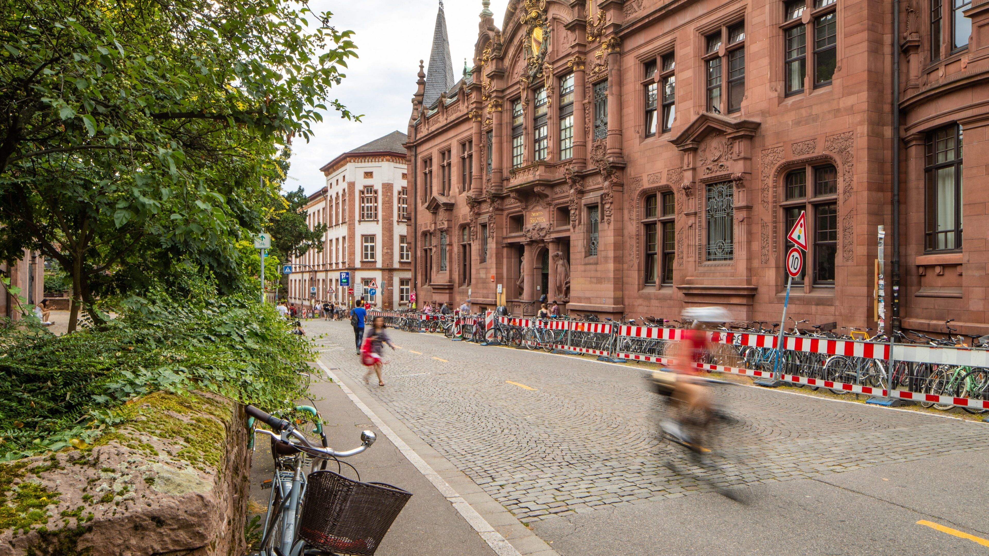 Universitätsbibliothek showing heritage elements