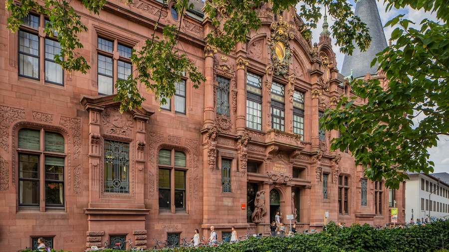 Heidelberg University Library featuring heritage architecture