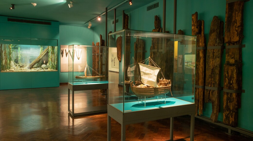 Kurpfälzisches Museum featuring interior views