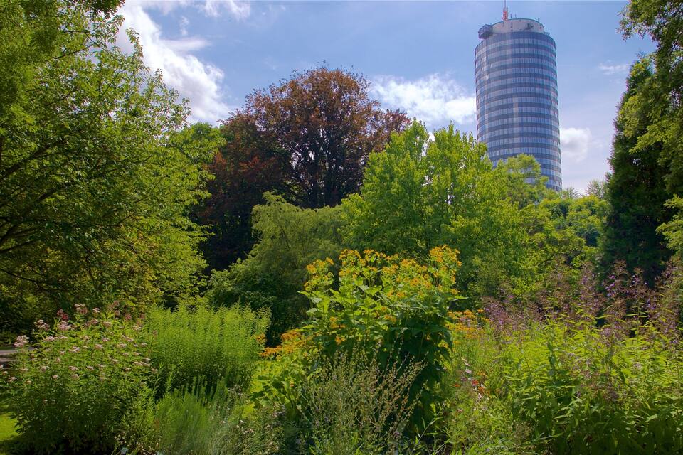 A park with lush greenery, a variety of flowering plants, and a modern building in the background.