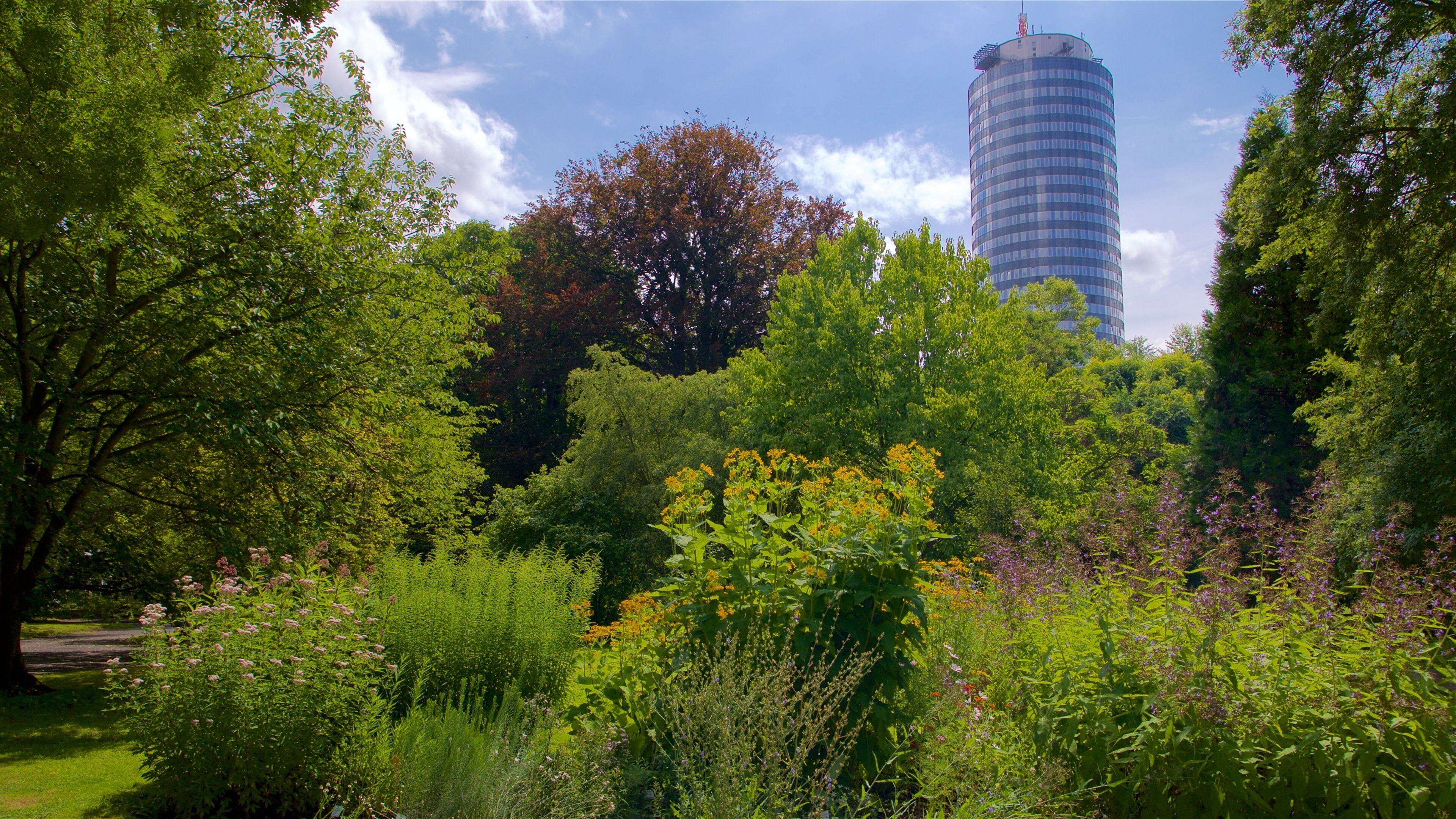 A park with lush greenery, a variety of flowering plants, and a modern building in the background.
