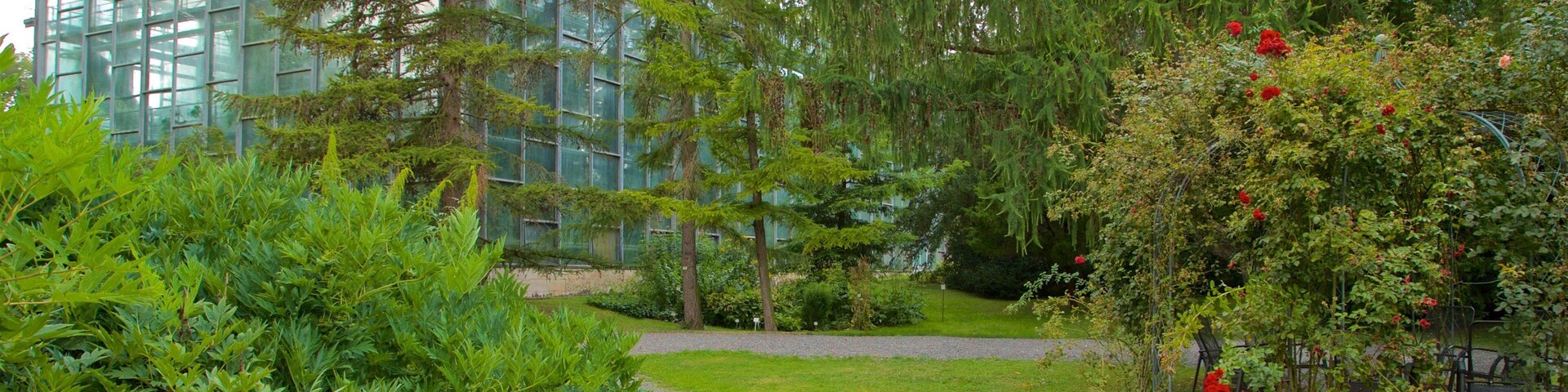 Botanischer Garten showing a park and wildflowers