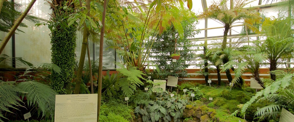 Botanischer Garten ofreciendo señalización, un parque y vistas interiores