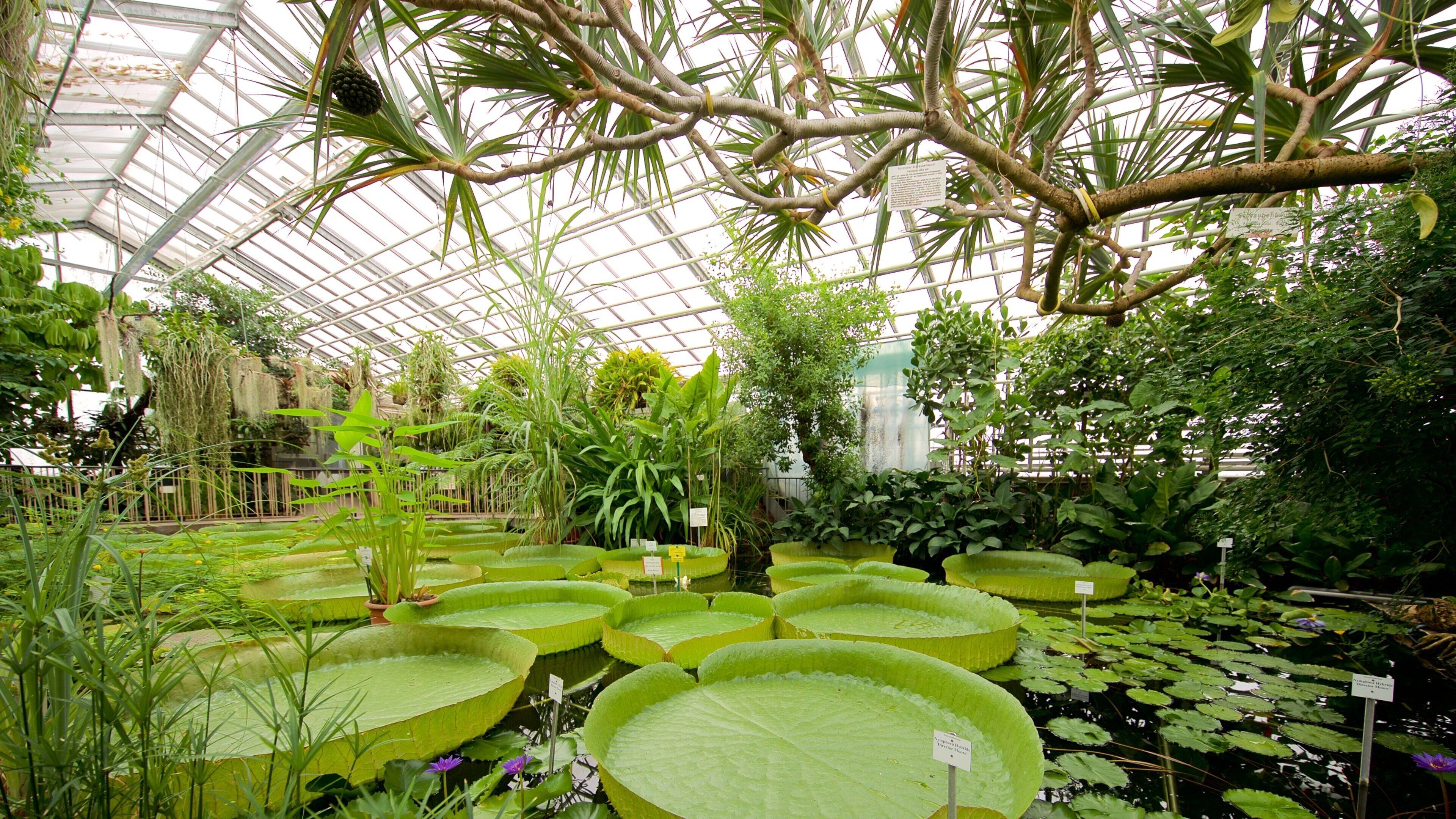 Botanischer Garten que incluye vistas interiores, un estanque y un parque