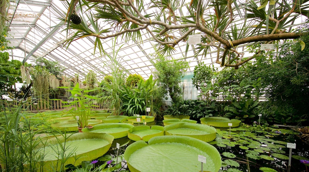 Botanischer Garten featuring a garden, interior views and a pond