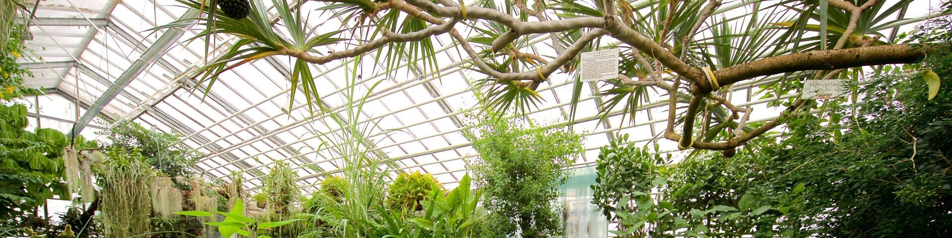 Botanischer Garten どの含み 池, 屋内の眺め と 庭園