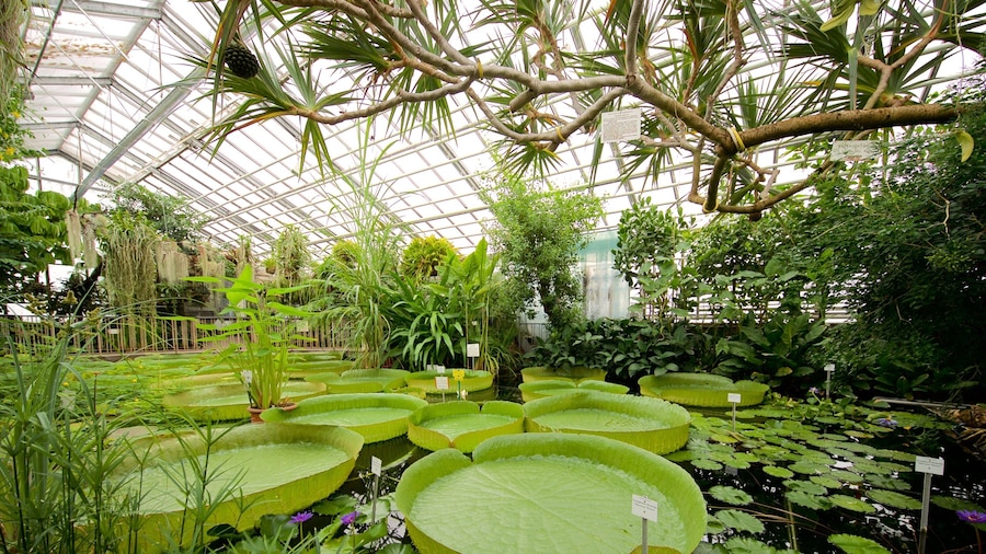 Botanischer Garten showing a garden, a pond and interior views