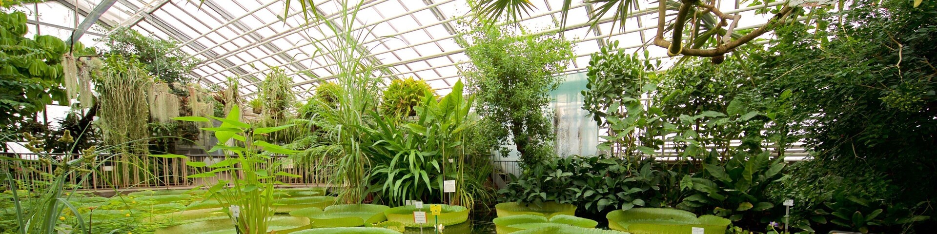 Botanischer Garten featuring a garden, interior views and a pond