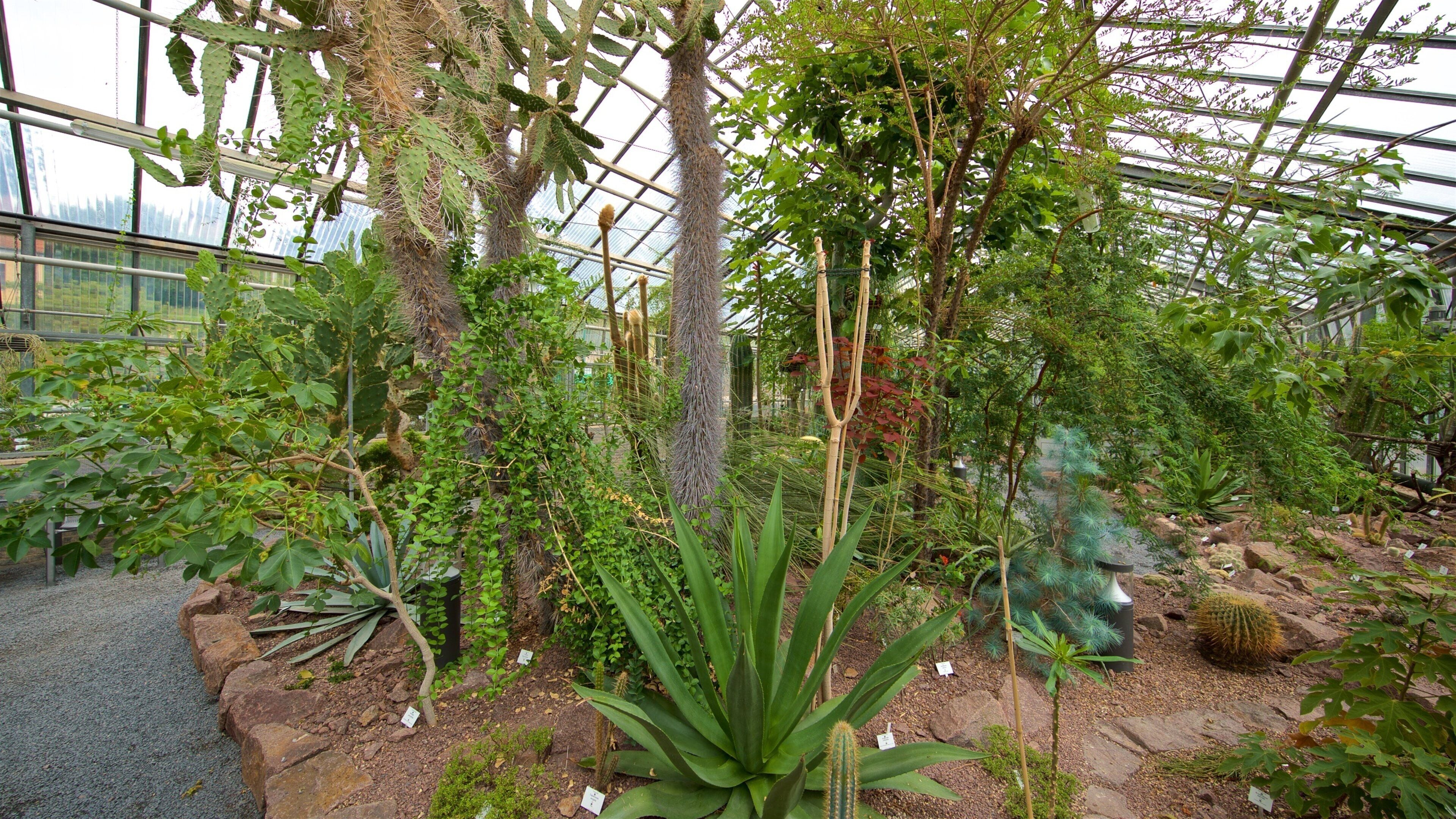 Botanischer Garten que incluye un jardín y vistas interiores