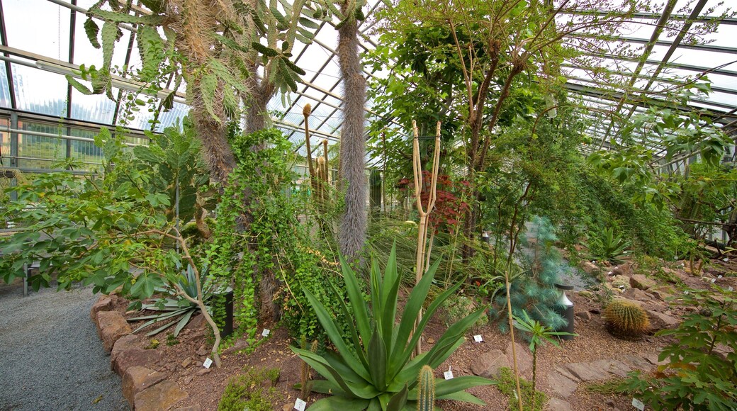 Botanischer Garten showing interior views and a park