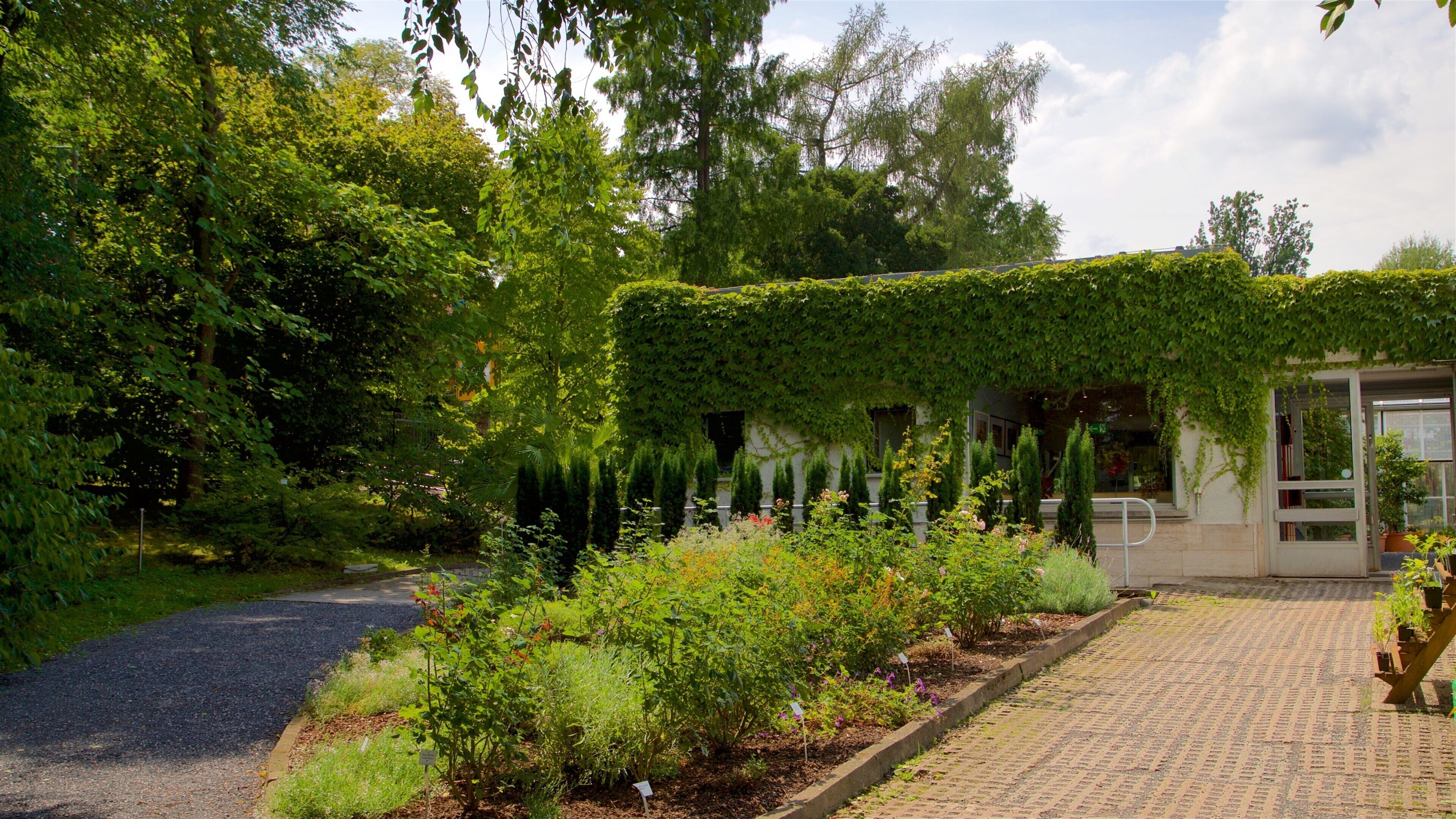 Botanischer Garten montrant parc