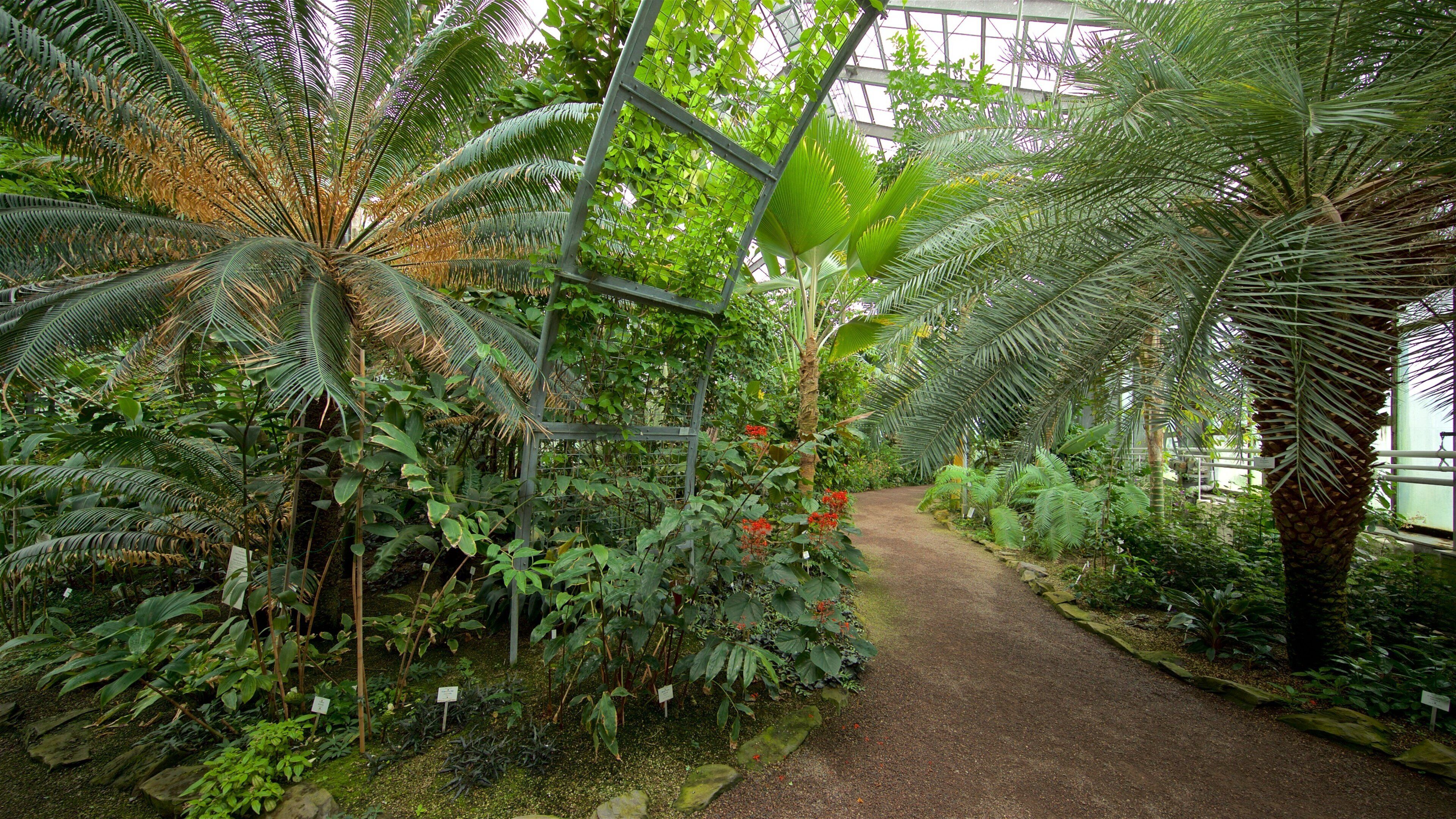 Botanischer Garten das einen Garten und Innenansichten