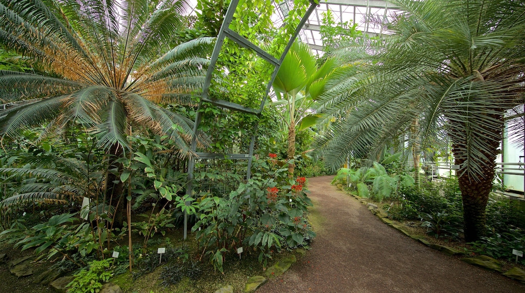 Botanischer Garten showing interior views and a park