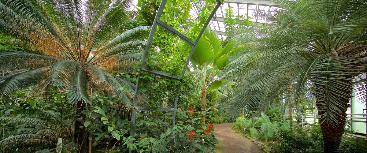 Botanischer Garten showing interior views and a park