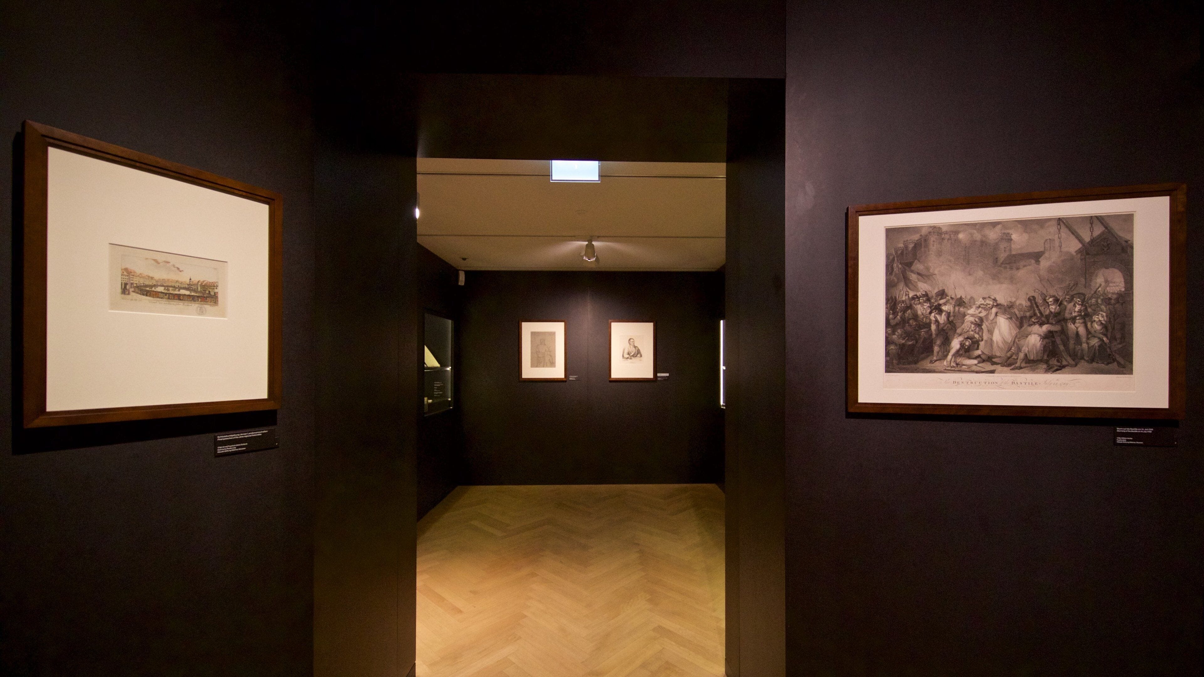 Goethe National Museum que incluye arte y vista interna