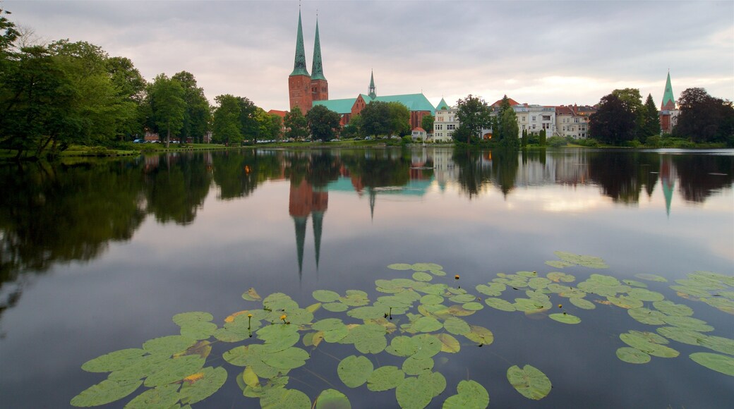Dom featuring a pond