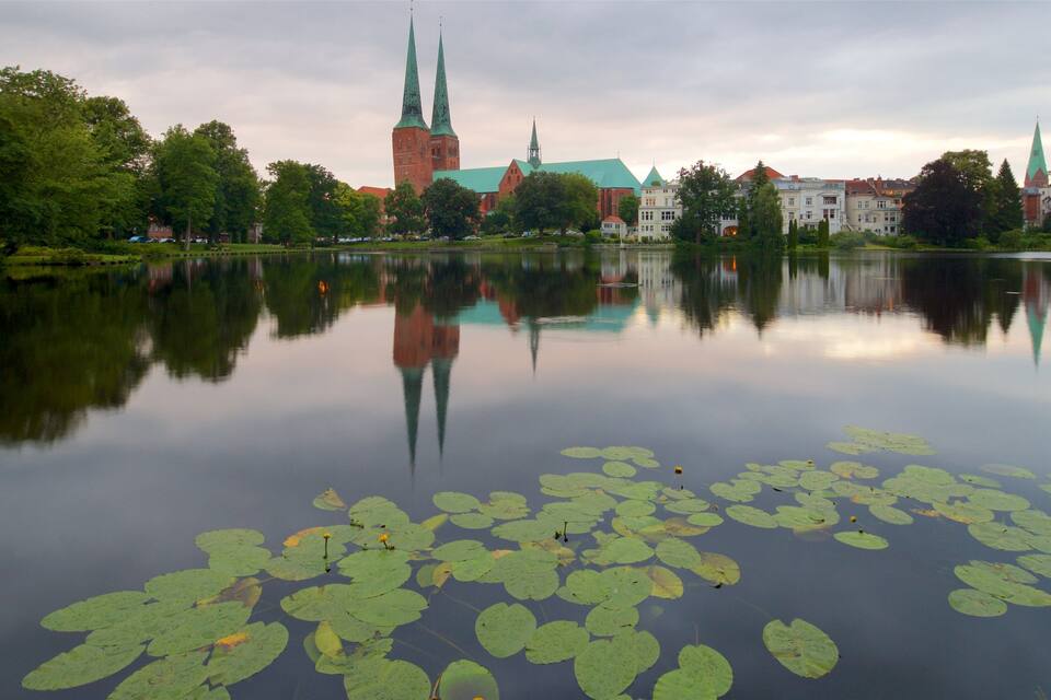 Un lago tranquilo con nenúfares, una iglesia de dos torres y árboles circundantes.