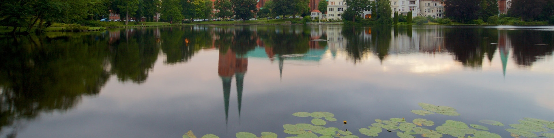 Dom ofreciendo un estanque