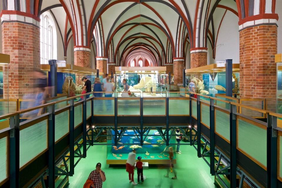 Ett museum med välvda tak, glasmonter och utställningar som bland annat visar marina djur och preparerade djur.