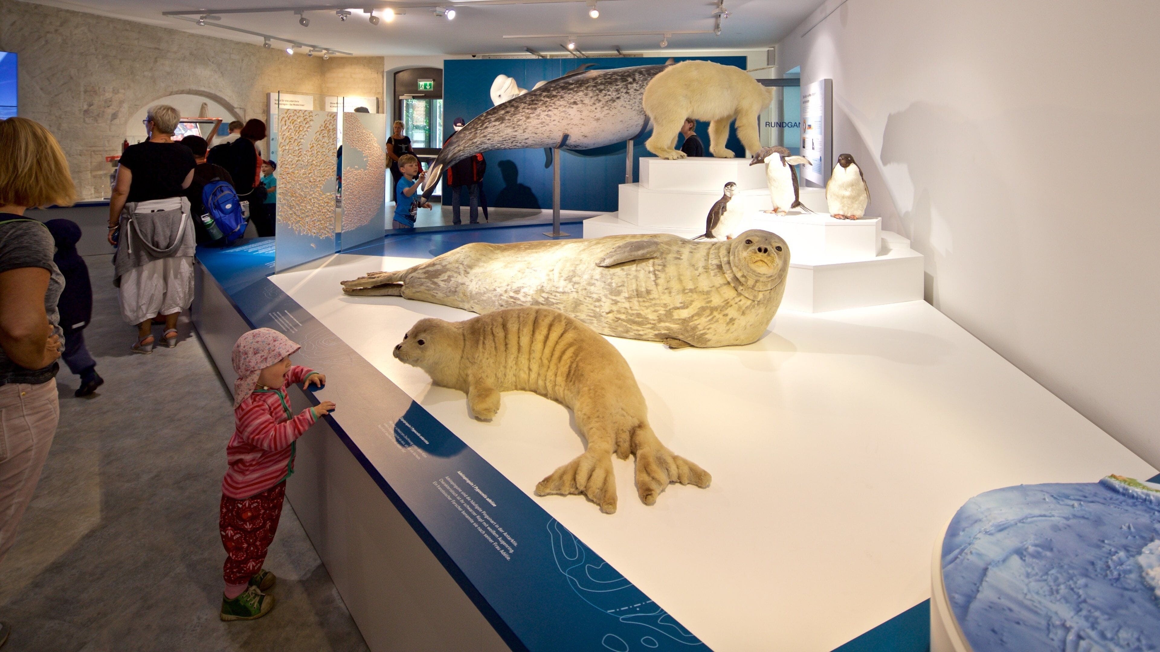 German Oceanographic Museum showing interior views as well as an individual child