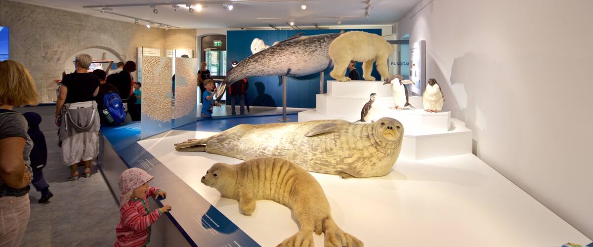 German Oceanographic Museum showing interior views as well as an individual child