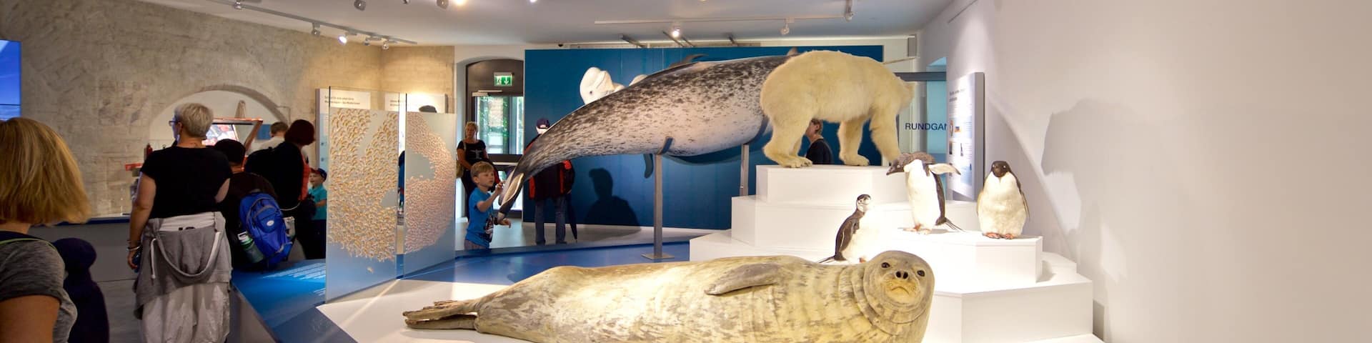 German Oceanographic Museum which includes interior views as well as an individual child