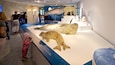 German Oceanographic Museum which includes interior views as well as an individual child