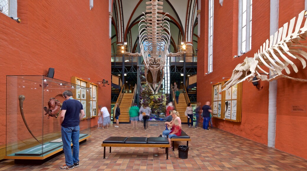 Tysk oseanografisk museum som inkluderer innendørs i tillegg til en liten gruppe med mennesker