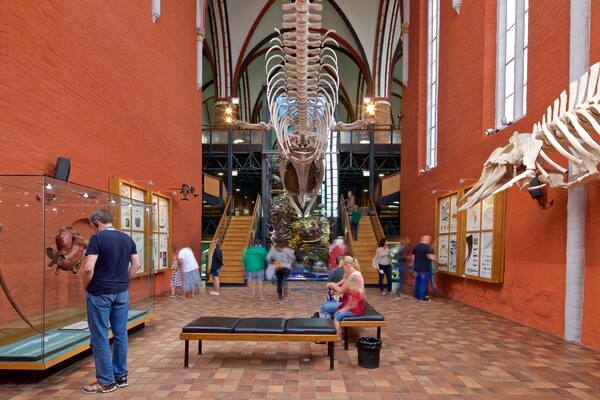 Deutsches Meeresmuseum welches beinhaltet Innenansichten sowie kleine Menschengruppe