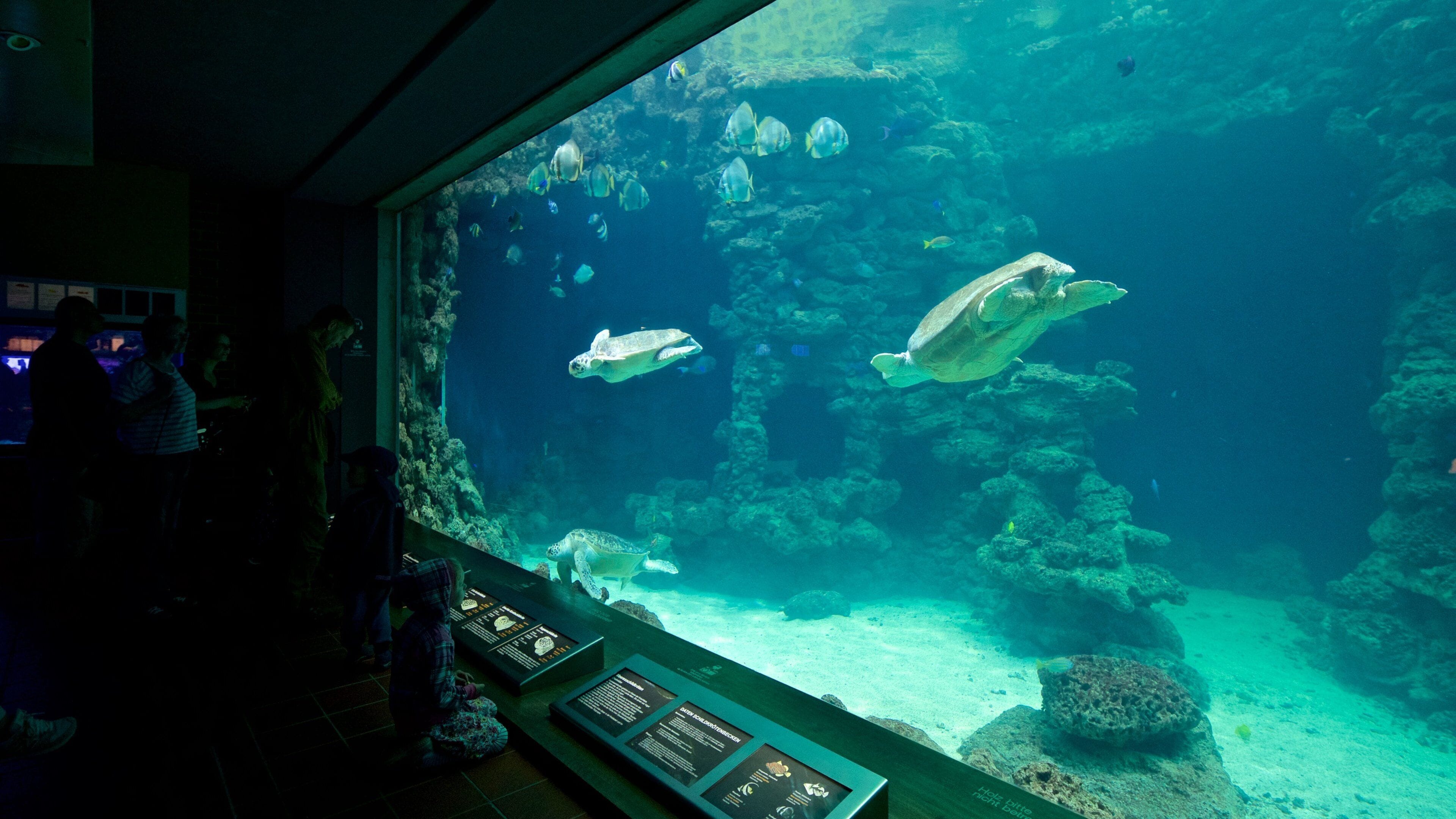 German Oceanographic Museum which includes marine life and interior views