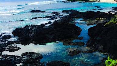 Blues upon blues #returntoparadiseresort