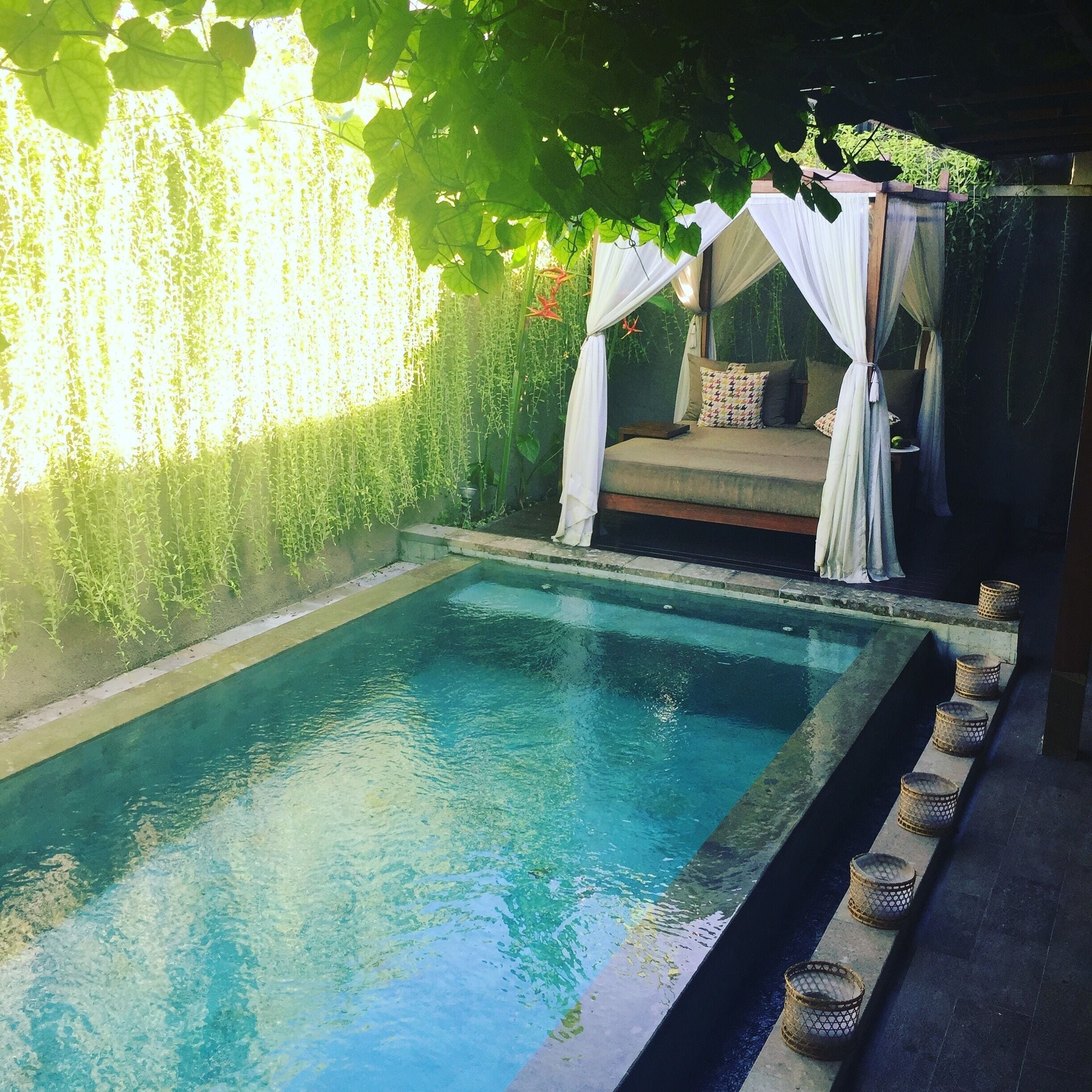 Una piscina con un lecho de flores blancas, una zona de estar cubierta y un seto verde exuberante.