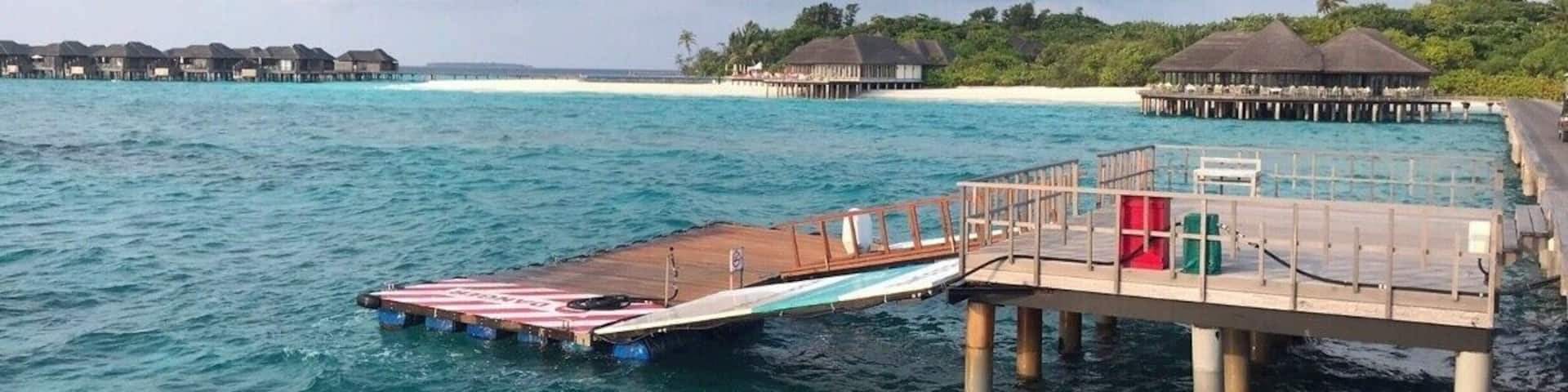 Fish Feeding in Maldives #LifeAtExpedia