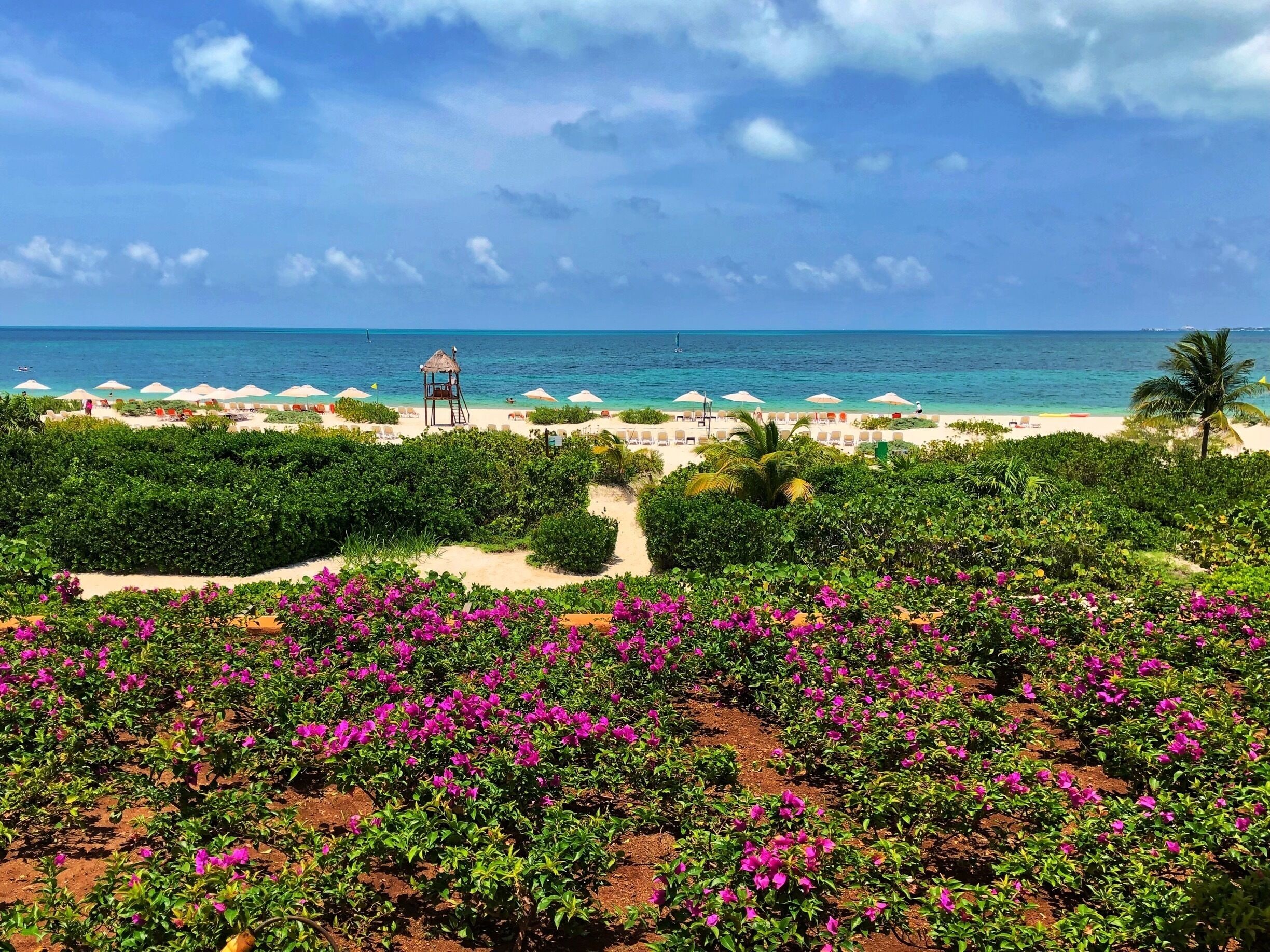 The Beauty of Mexico and Secrets Playa Mujeres 