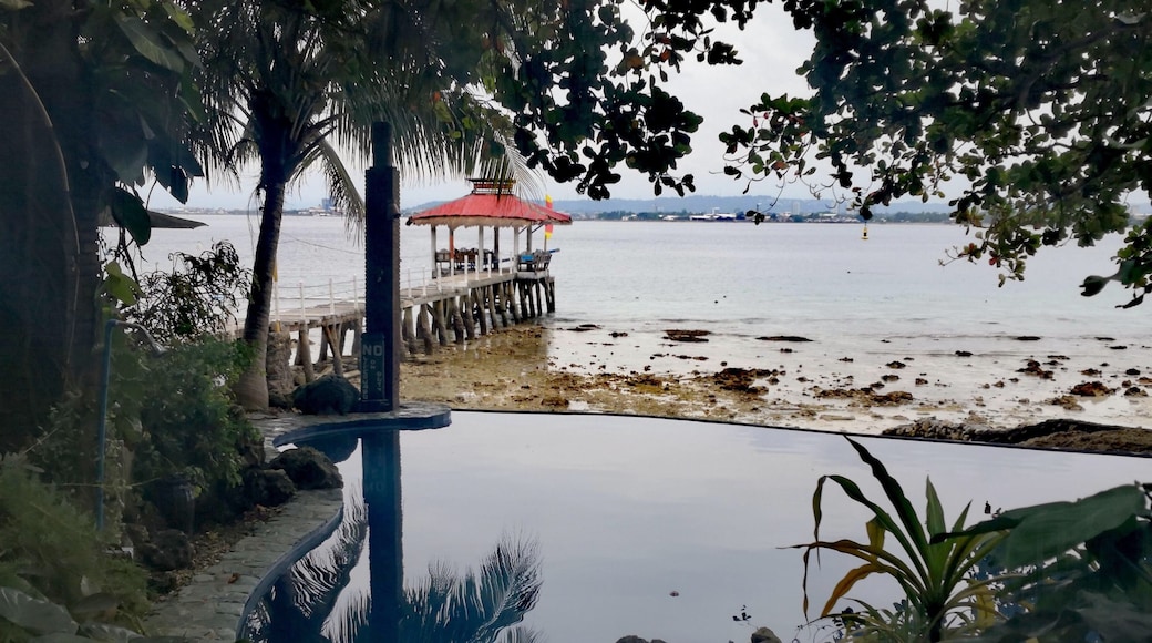 Salt Pool at Chema's by the Sea