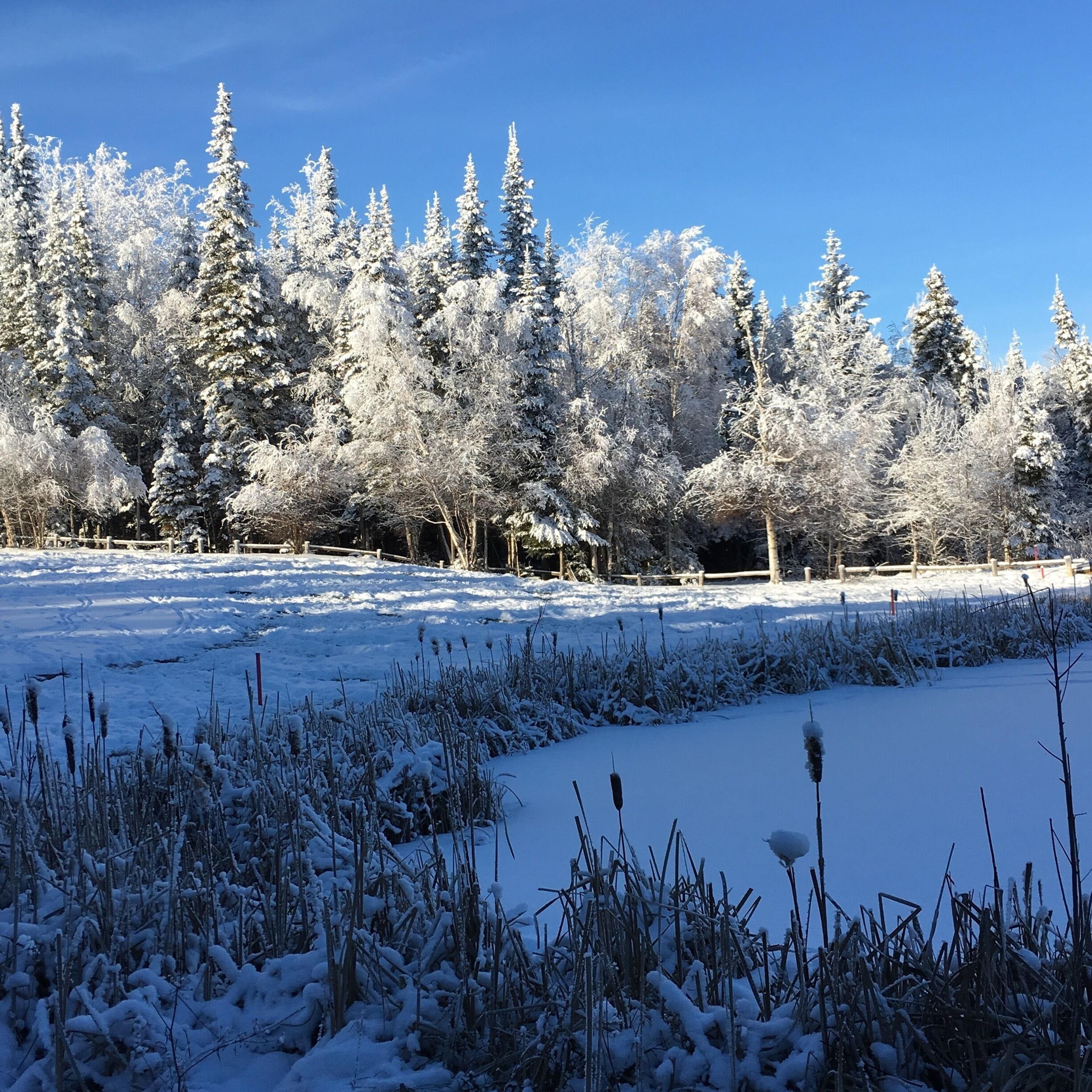 Winter wonderland ❤️ #WinterWonders