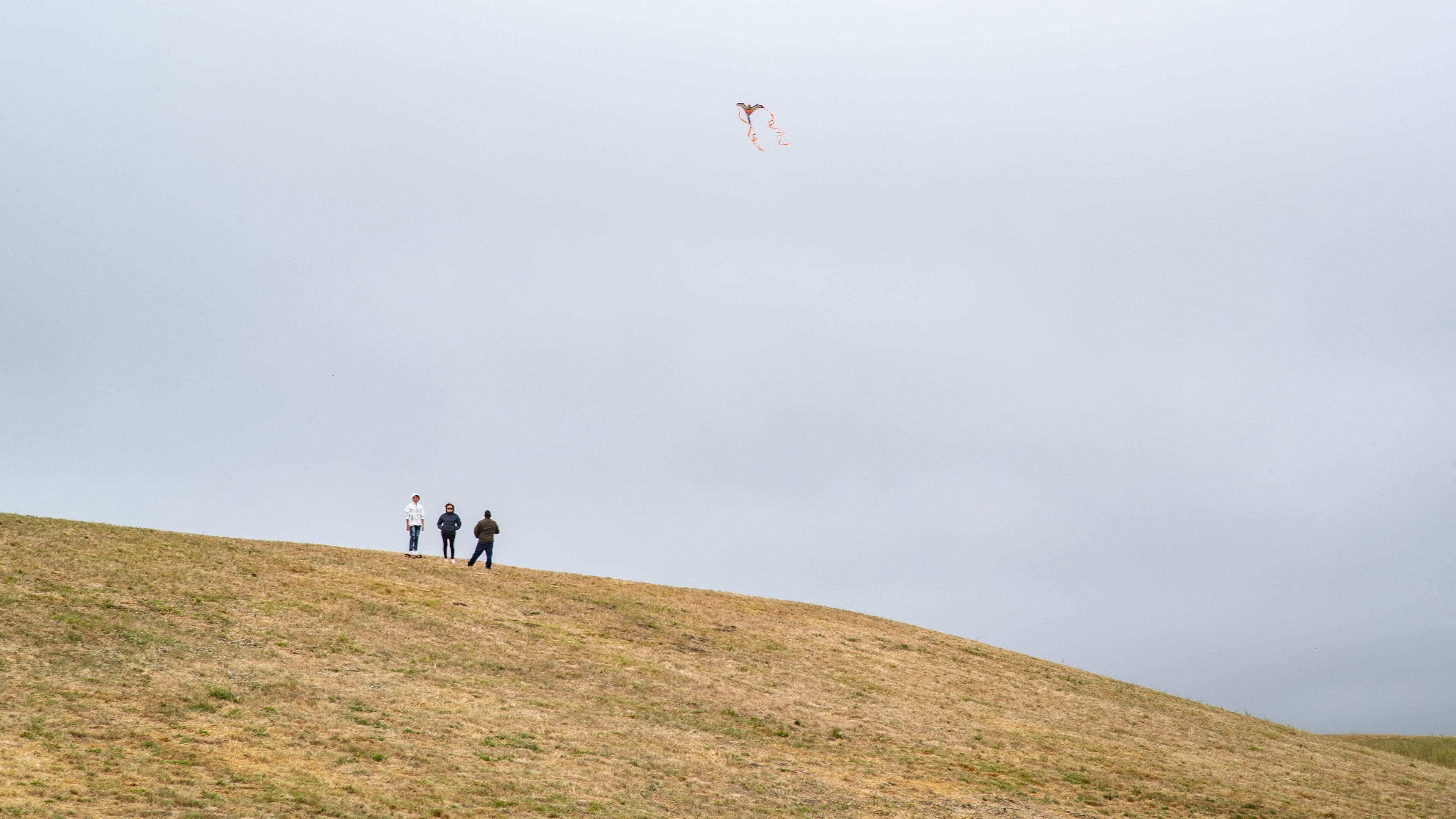 Cesar Chavez Park featuring a garden as well as a small group of people