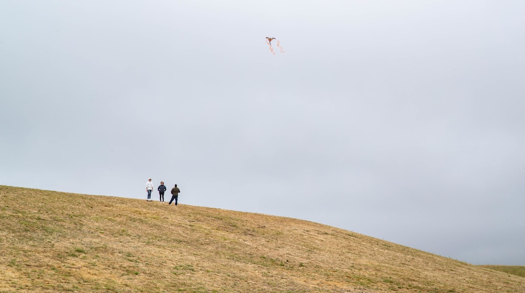 Cesar Chavez Park featuring a garden as well as a small group of people