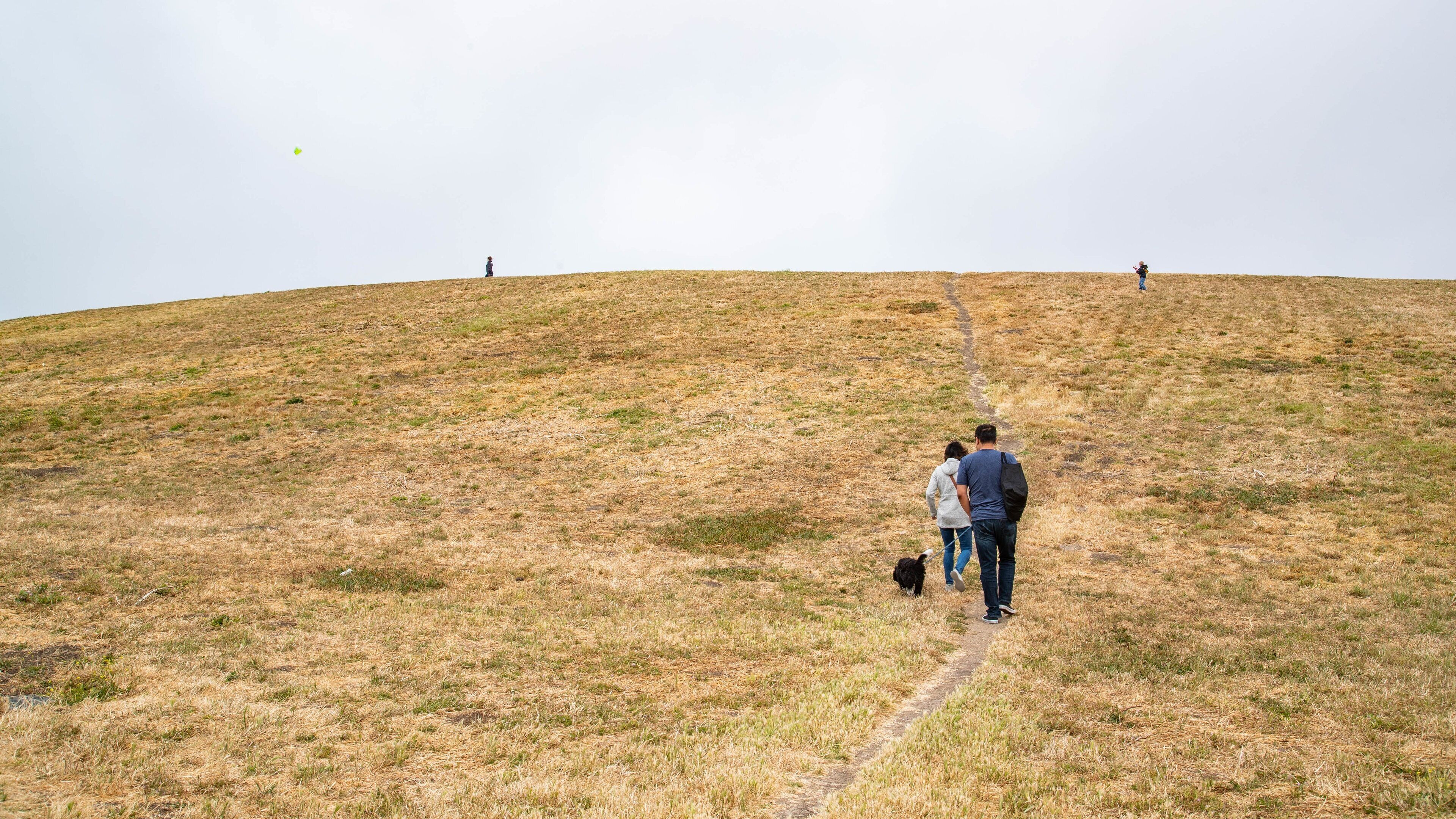 Cesar Chavez Park which includes cuddly or friendly animals and tranquil scenes as well as a couple