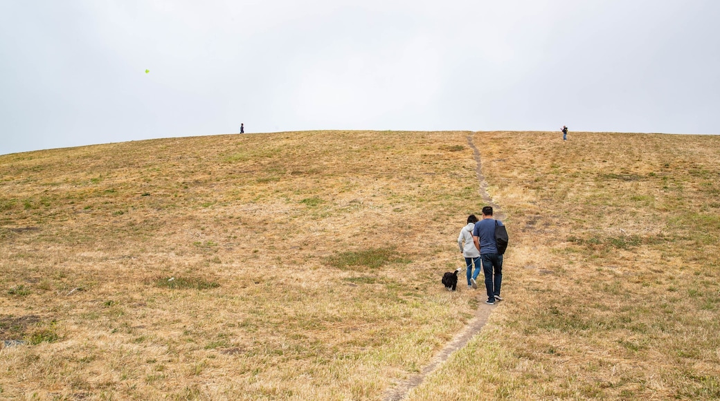 Cesar Chavez Park which includes cuddly or friendly animals and tranquil scenes as well as a couple