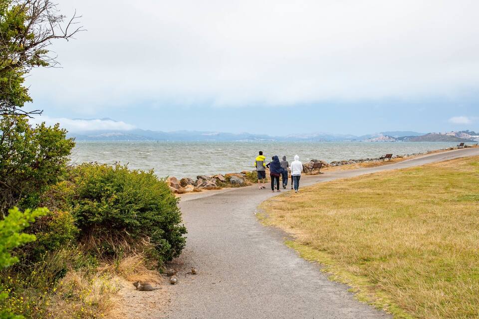 A coastal path with people walking, a bench, and a grassy area.