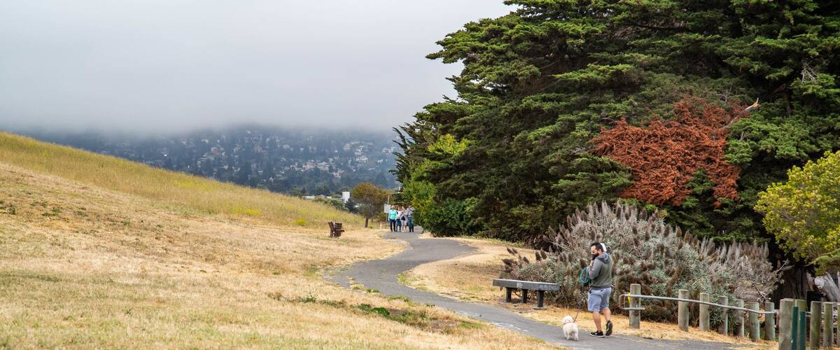Cesar Chavez Park