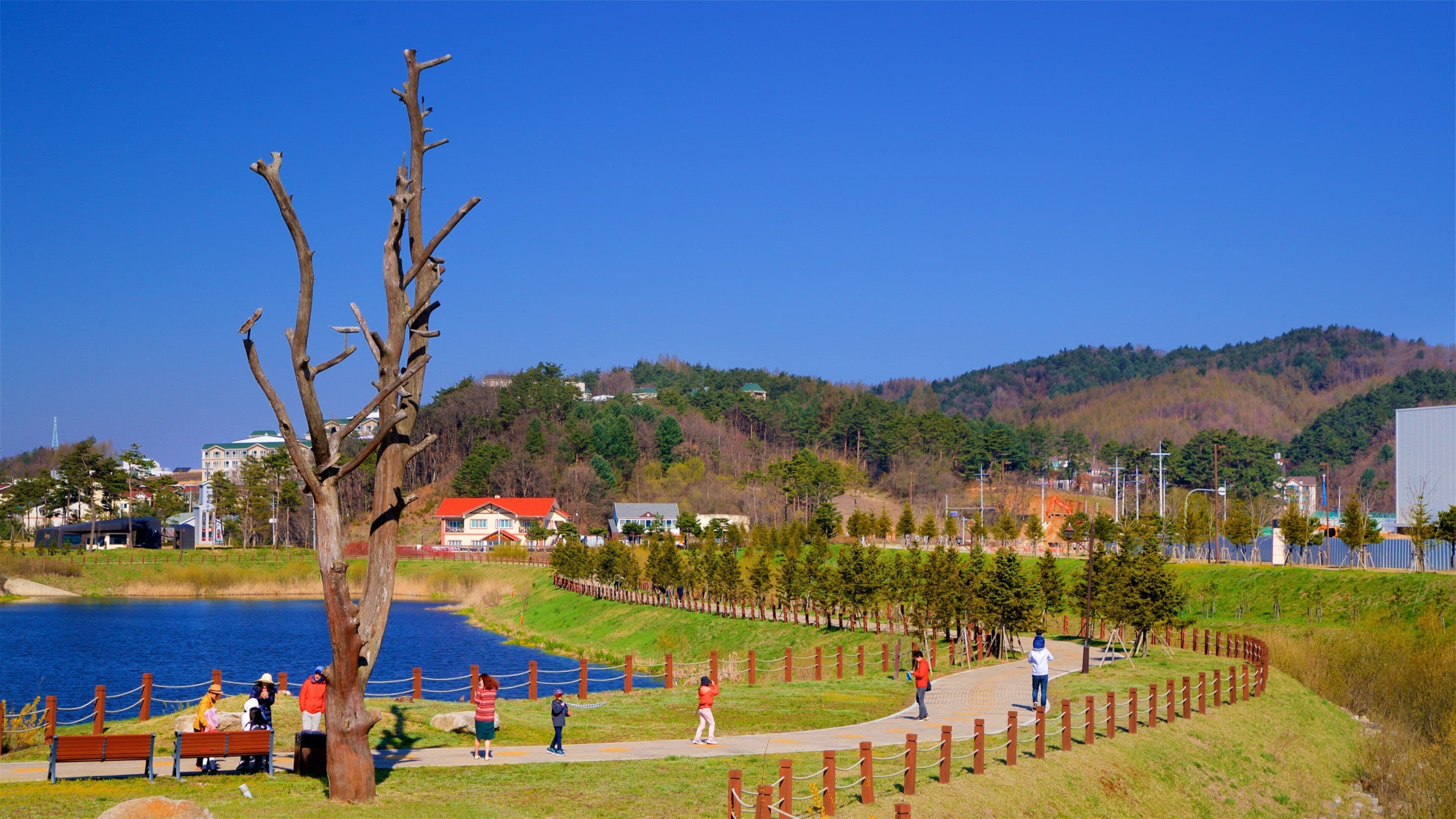 阿尔卑西亚度假村